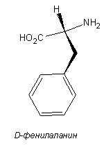 l фенилаланин