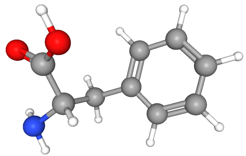 Молекула фенилаланина